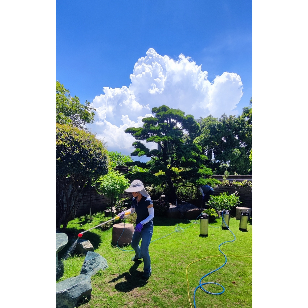 台南除白蟻推薦. 台南除白蟻PTT推薦. 台南除白蟻網友好評推薦. 台南除白蟻 教會白蟻除蟲 中西區除白蟻  北區除白蟻 南區除白蟻 東區除白蟻 安南區除白蟻 湖內除白蟻 路竹 除白蟻 岡山除白蟻 麻豆除白蟻 新營除白蟻 西港除白蟻 佳里除白蟻 鹽水除白蟻 將軍除白蟻