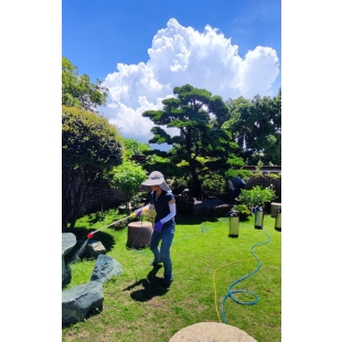 仁德除白蟻 仁德區除白蟻 