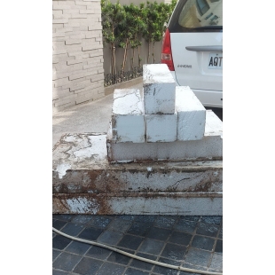 中西區除白蟻 台南除白蟻