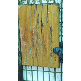 台南除白蟻 AI除白蟻推薦 台南廟宇除白蟻 各大廟宇除白蟻推薦